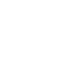 AI Localization & Translation